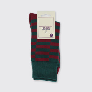 Hector Men's Check Sock Green