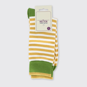 Hector Men's Stripe Socks- Sage/Ochre