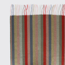 Load image into Gallery viewer, Hector Striped Scarf Multi Colour