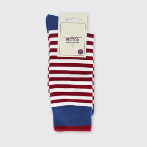 Hector Men's Stripe Socks- Royal Blue/Red - Forever England