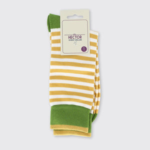 Hector Men's Stripe Socks- Sage/Ochre - Forever England